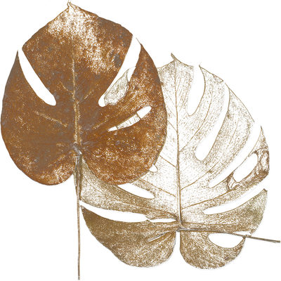 Image Not Available